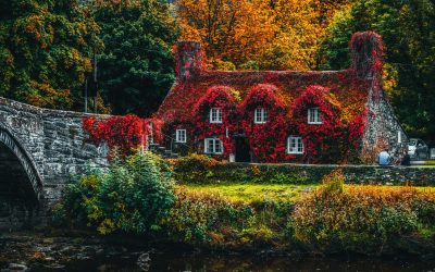 Should You Buy a Home in the Fall? The Surprising Advantages of October Purchases